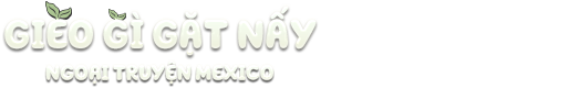 Gieo Gì Gặt Nấy - Ngoại Truyện Mexico